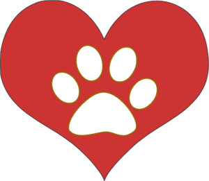 them dogs - dogs blog